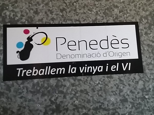 visita caves
