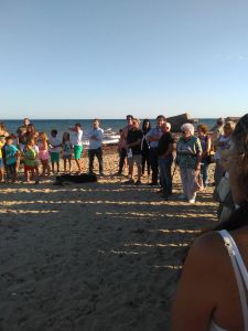 IMG_20160723_194432 (3)